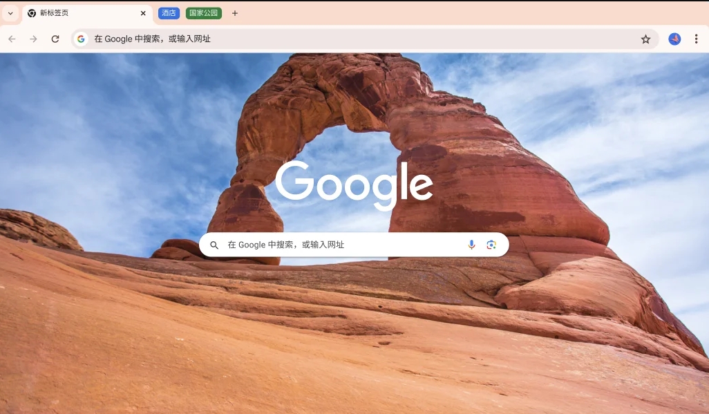 Google Chrome(谷歌浏览器)简体中文版